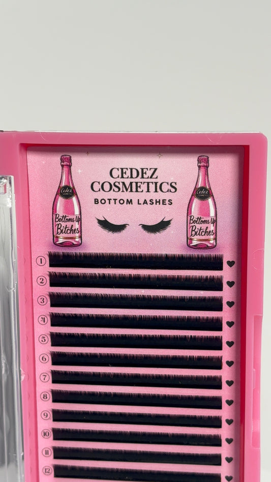 Bottoms Up B!tches (Bottom Lashes)